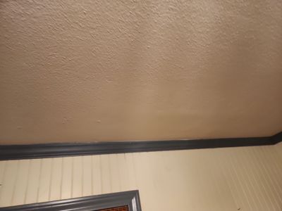Ceiling Drywall Repair and Texture Matching in Hyde park, Austin