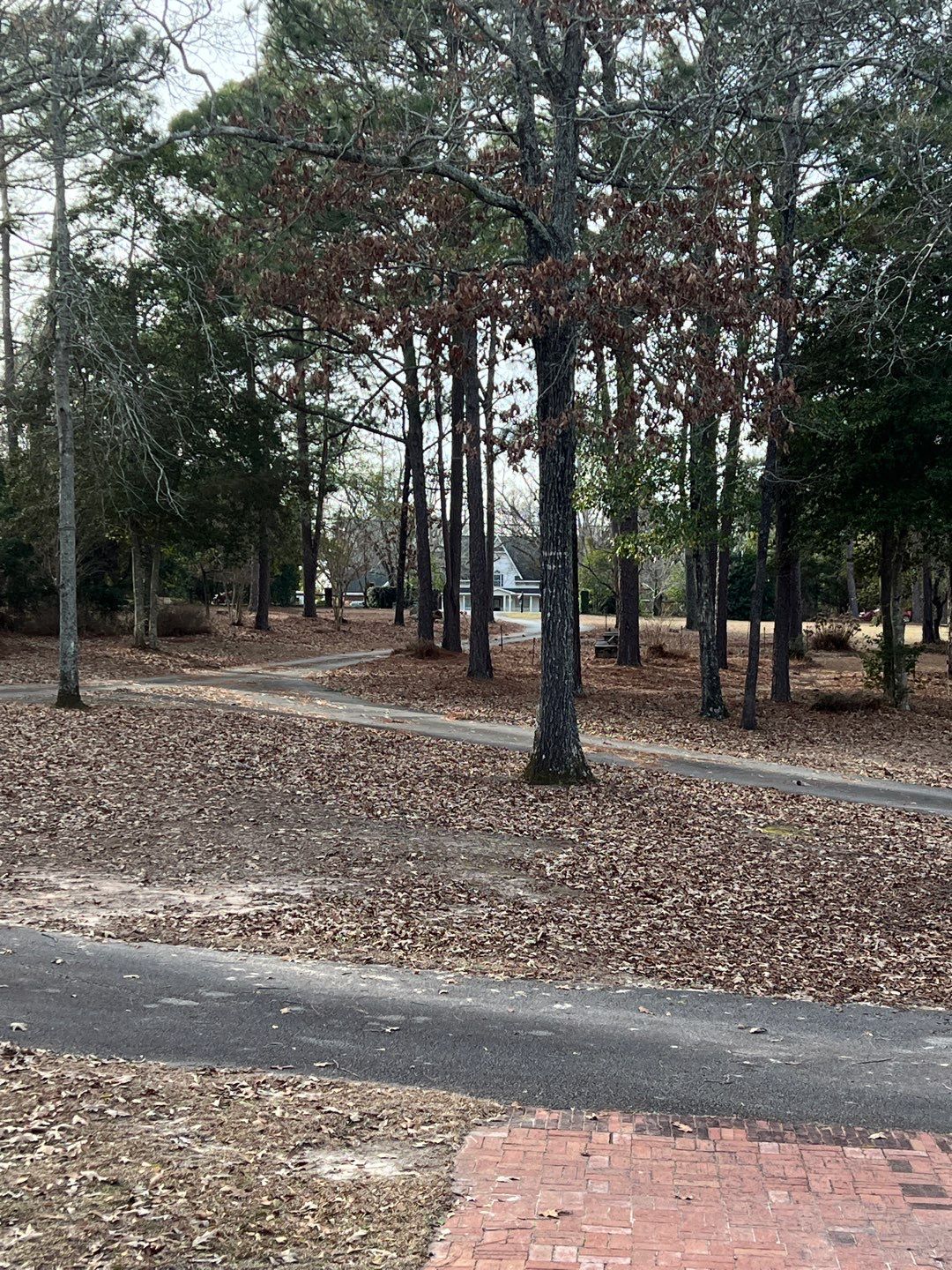 none by Emergency Roofing Solutions