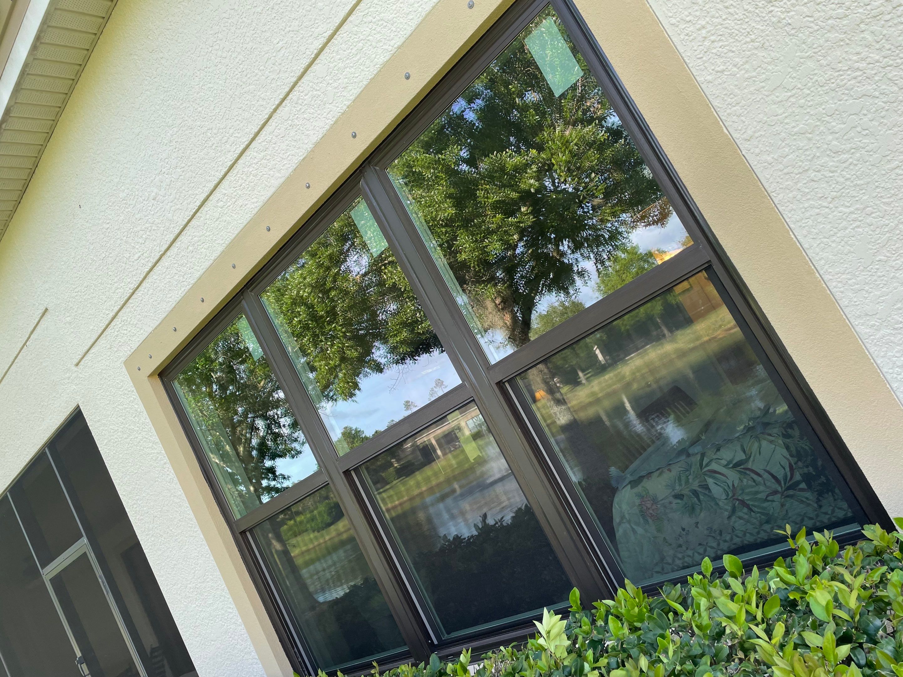 Bronze Single Hungs & PW's by NewSouth Window Jacksonville