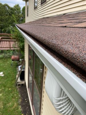 Turtle Shell gutter protection installation in Naperville, IL 60540, photograph 37