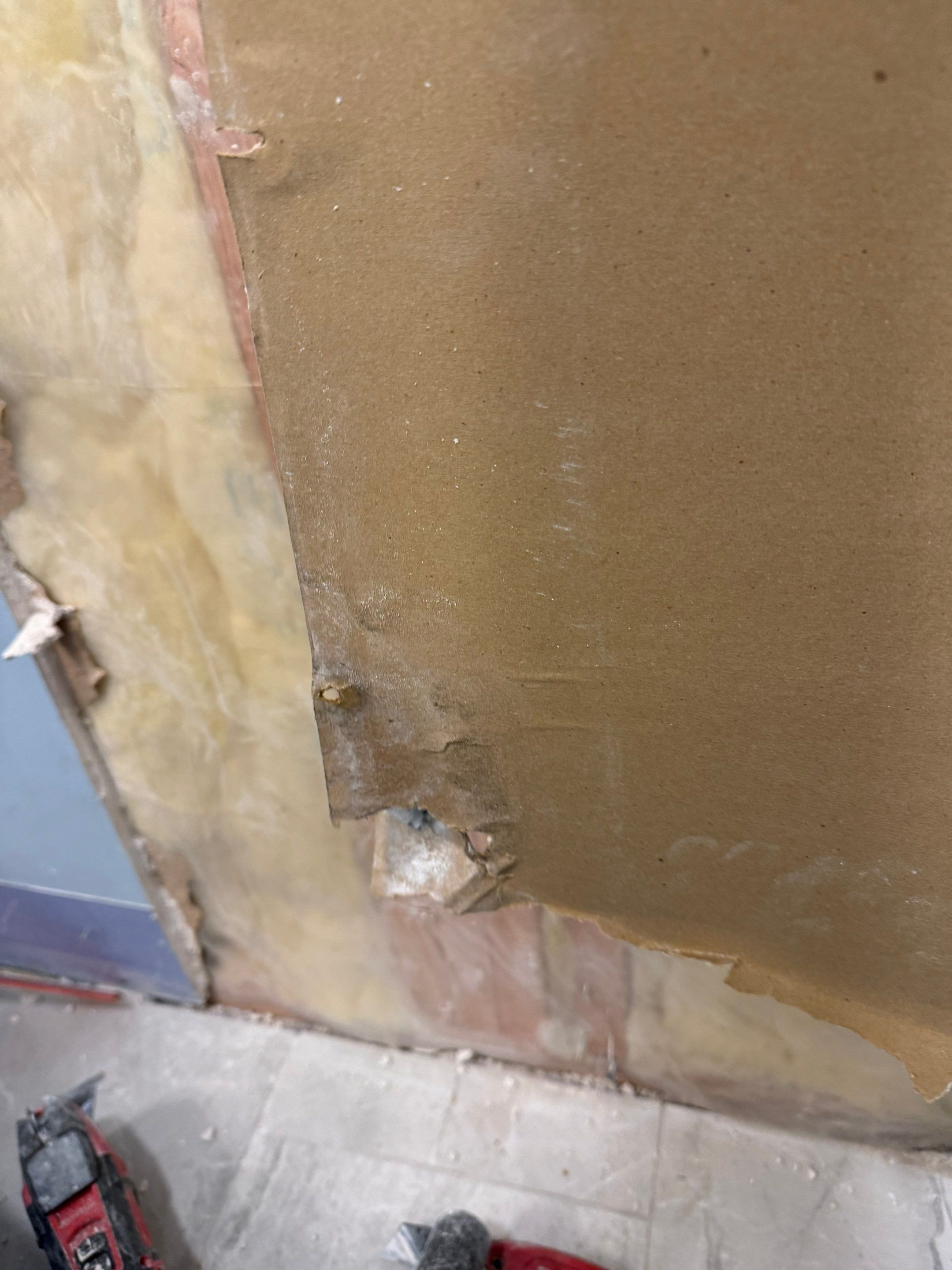 Bathroom Mold Remediation by Home Guarantee, LLC
