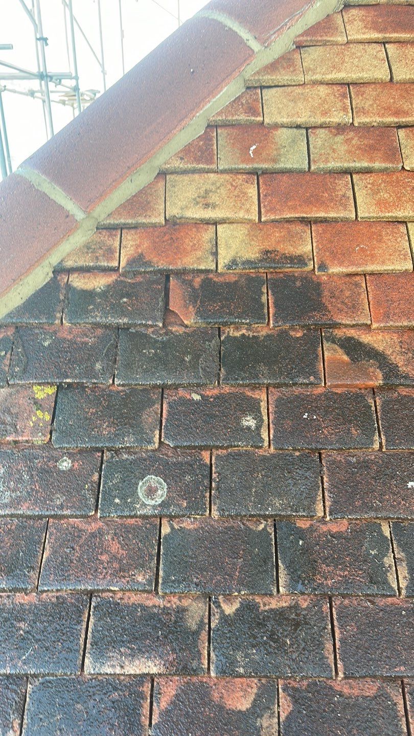 Roof Clean - Moss Removal using Honda 15lpm Low Pressure Washing Machine by Ges Exterior Cleaning ltd