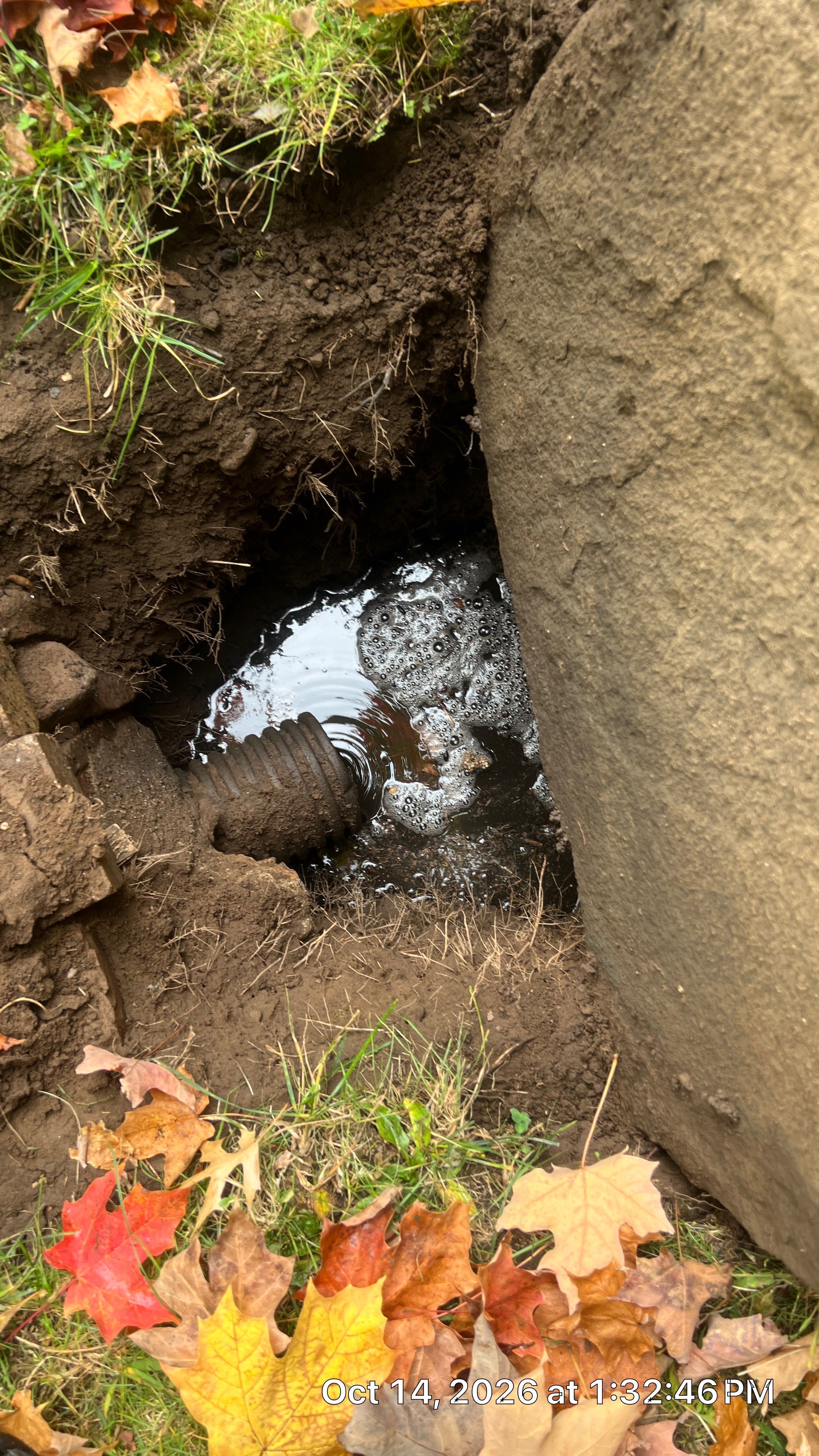 Gutter Cleaning & Underground Drain Cleaning in Montclair, NJ by NJ Home Maintenance Services
