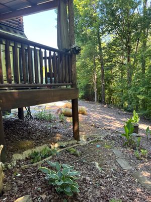 Log Cabin Termite Monitoring System and Structural Inspection in Shelby