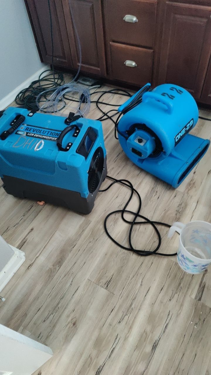 Water Damage  by Accountable Home Services