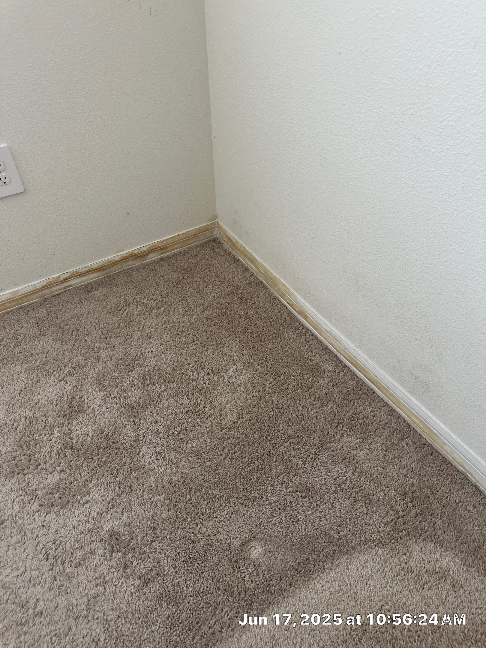 Moisture intrusion inspection with air quality testing by Building performance Solutions LLC
