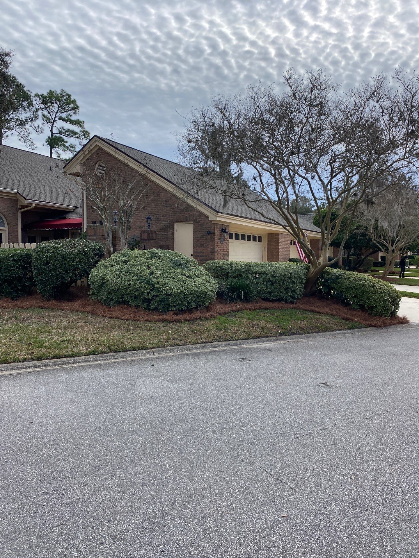 Deerwood Pointe | Tree Removal & Pine Straw Installation by ProGreen Services