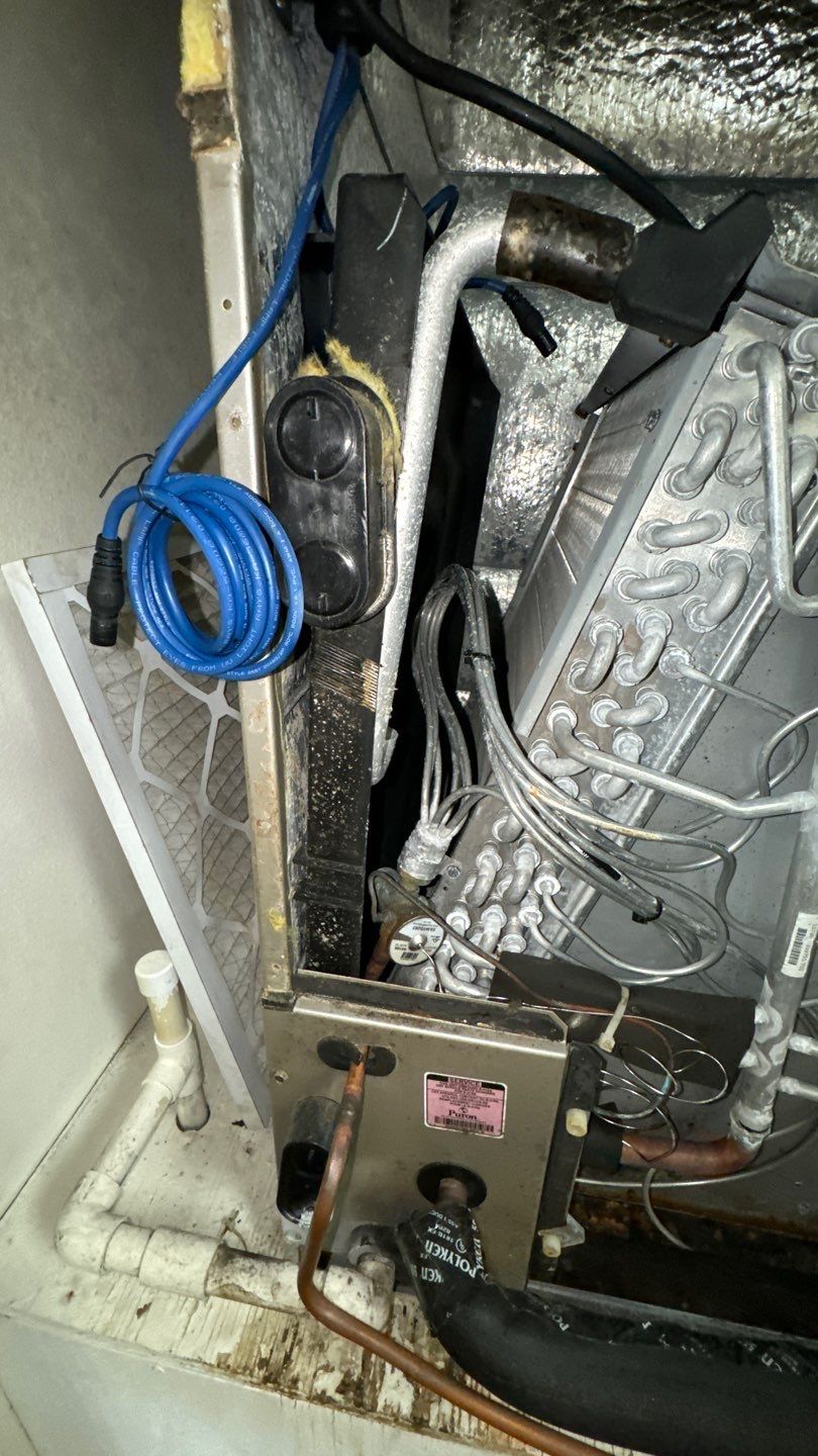 Commercial Air Duct Cleaning in Tavares by Hygienic Air, Inc