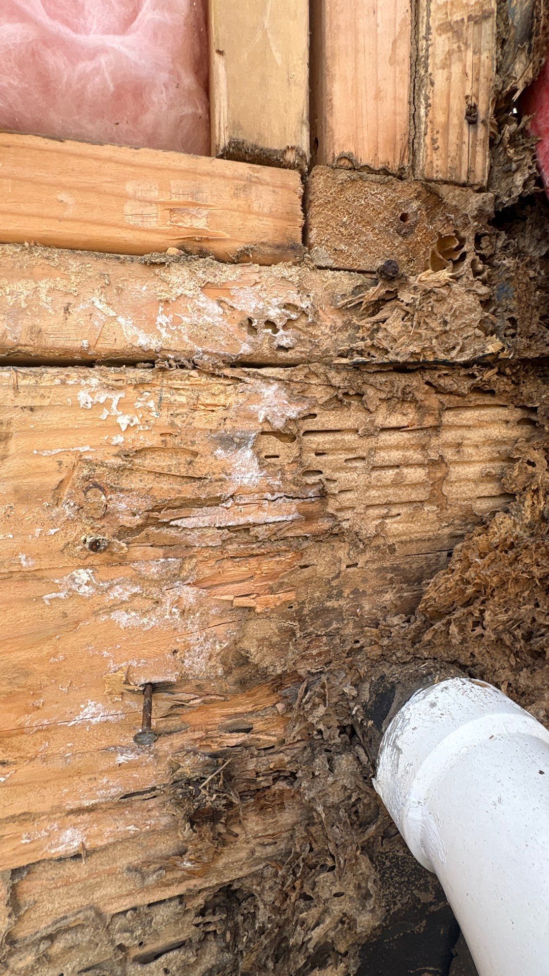 Back Wall Siding Replacement & Breezeway Roof. by Philadelphia Quality Roofing