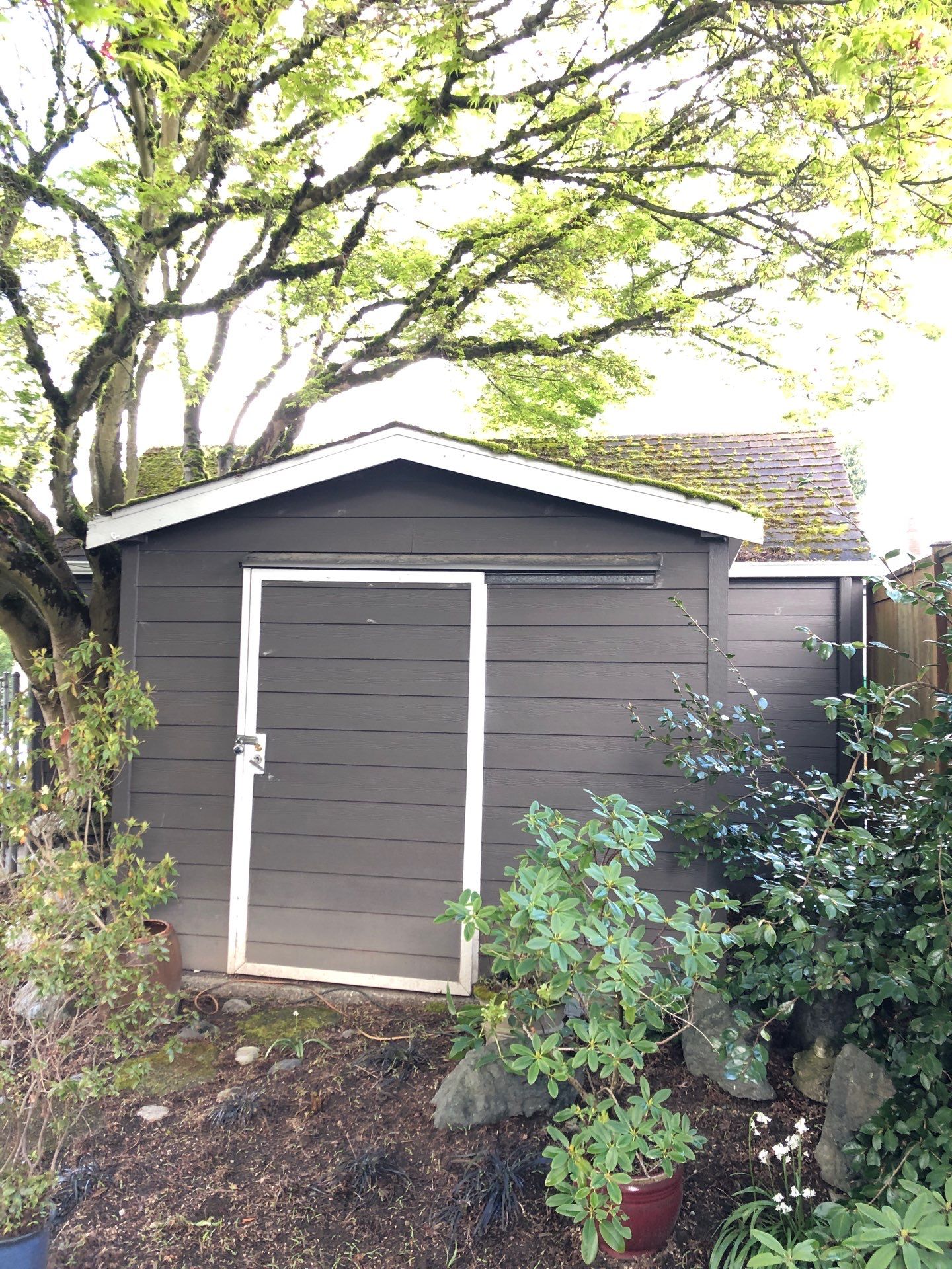 Project in Seattle by Peaks and Valleys Construction