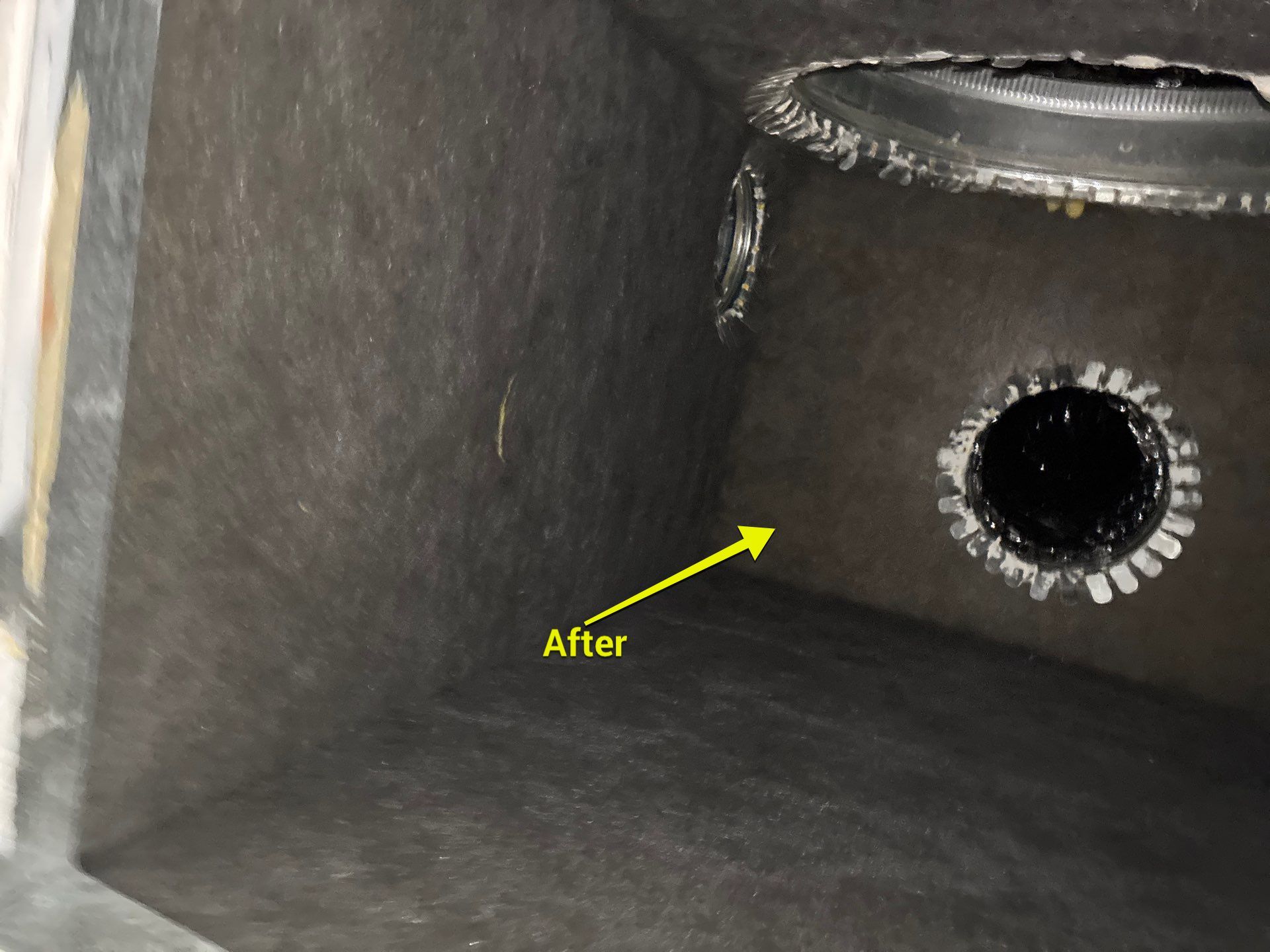 Air Duct and Dryer Vent Cleaning in Groveland by Hygienic Air, Inc