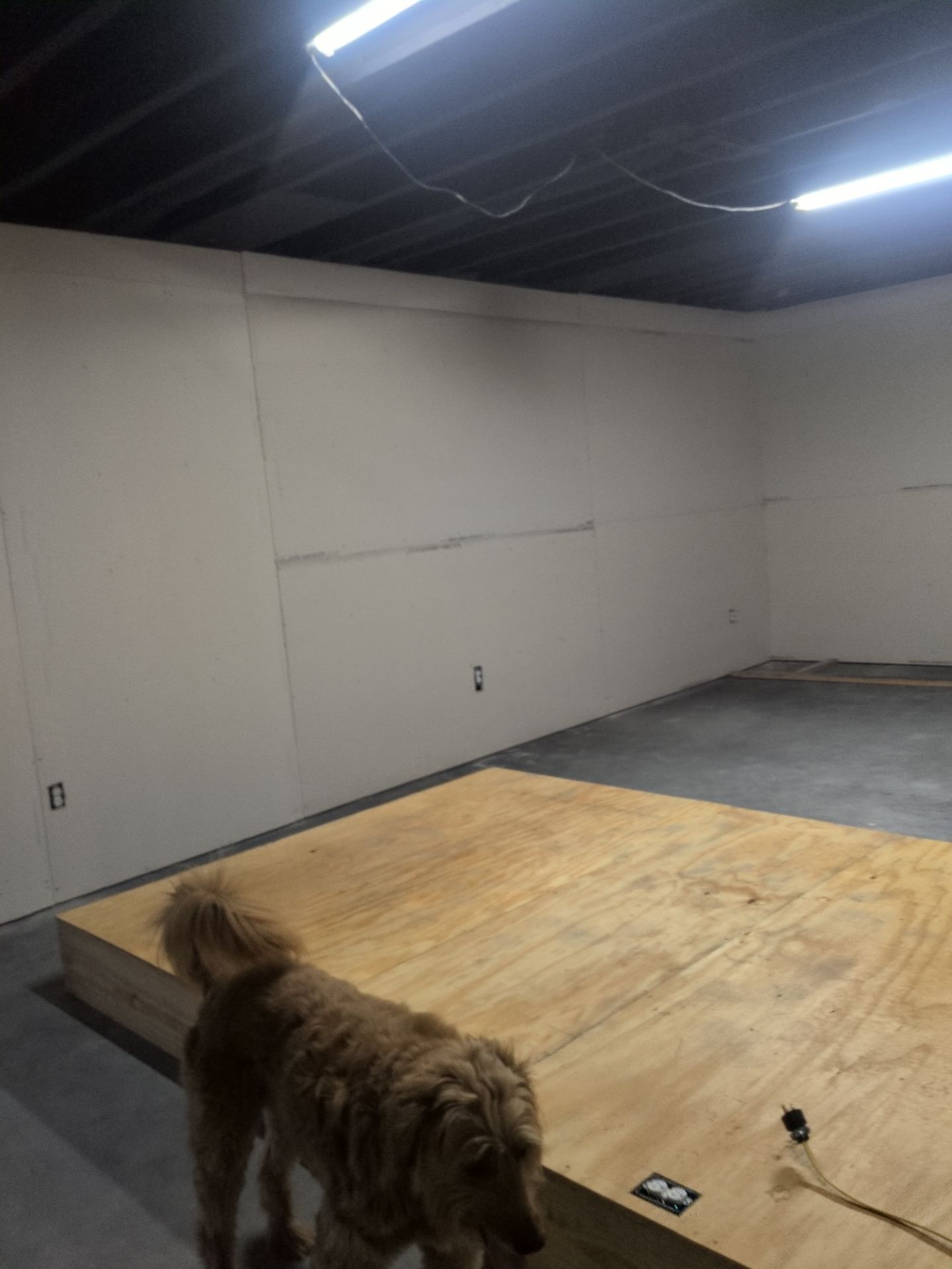 Project in Cape Girardeau by Duncan Painting And Wallcovering