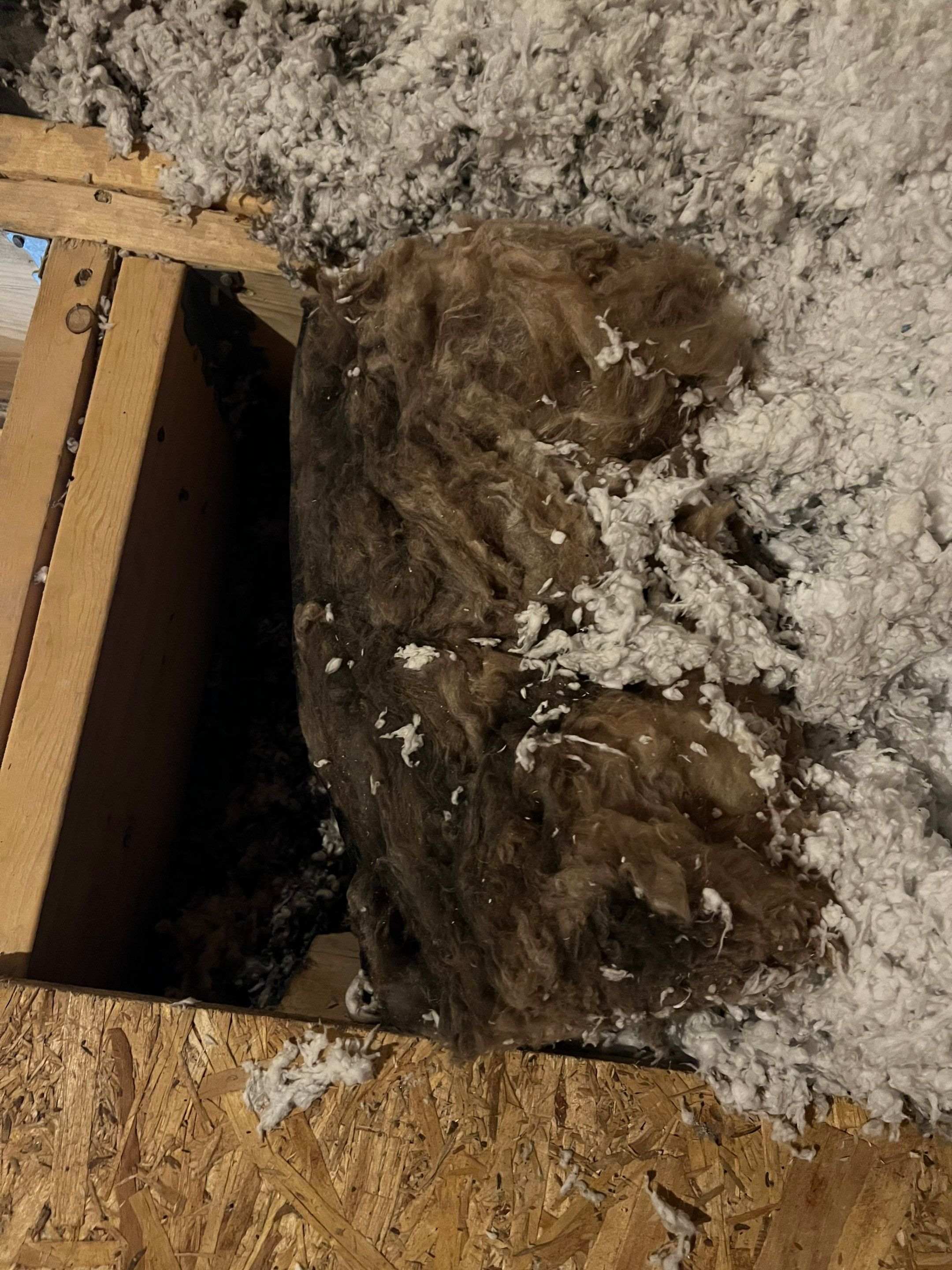 Ridge Vent & Cap Replacement – Brookline, NH by Mighty Dog Roofing of Greater Middlesex County