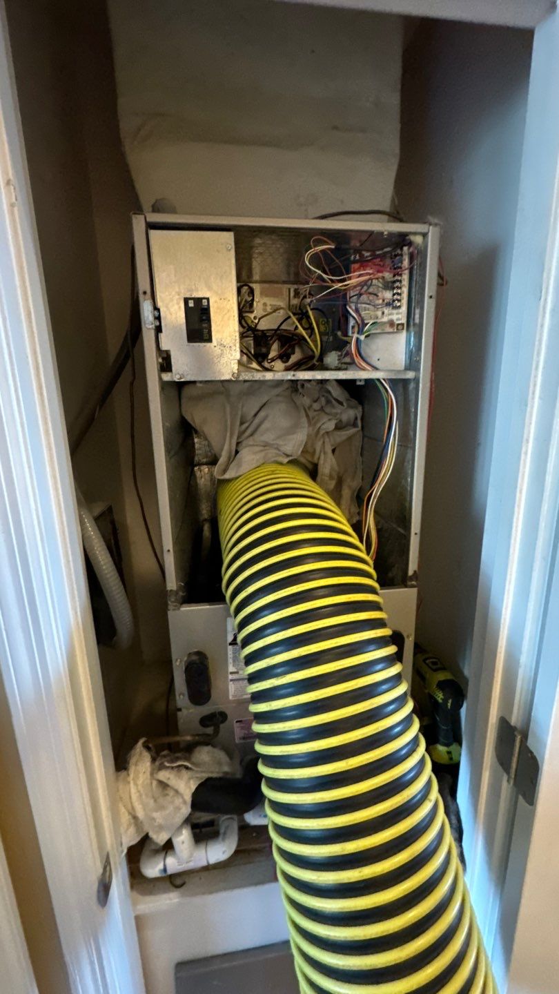 Air Duct Cleaning in Tavares by Hygienic Air, Inc