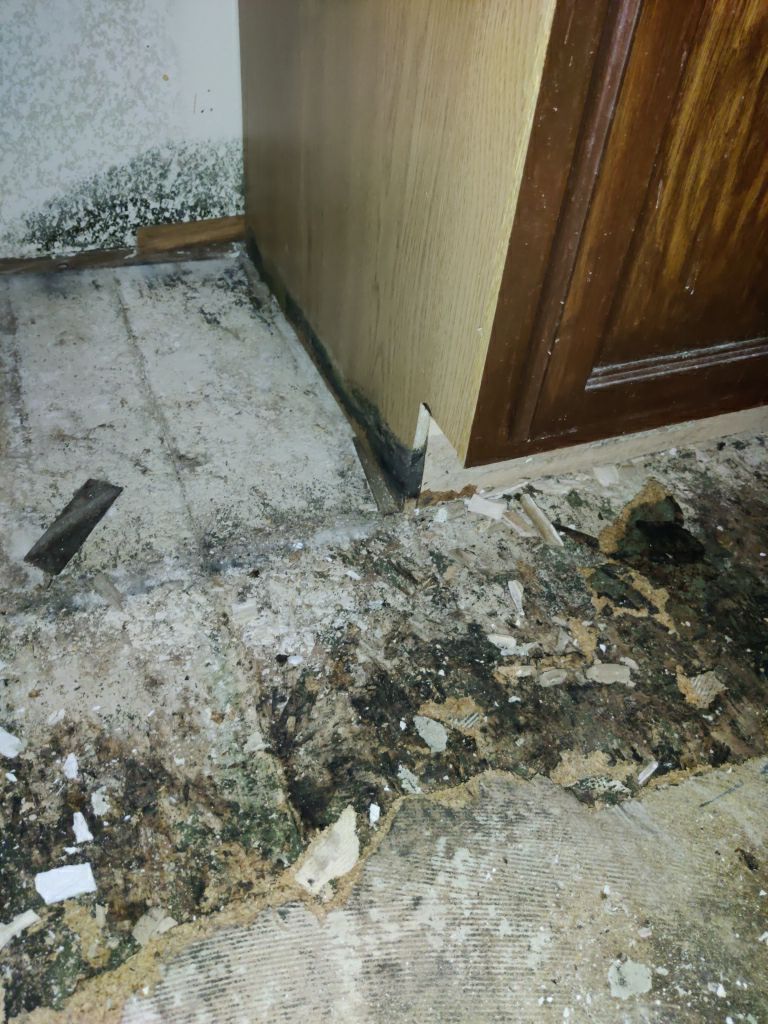 Mold Remediation in Kitchen by Accountable Home Services