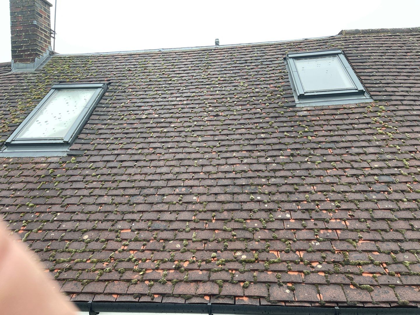 Roof Clean and Biocide Treatment using Honda 15lpm Low Pressure Washing Machine by Ges Exterior Cleaning ltd