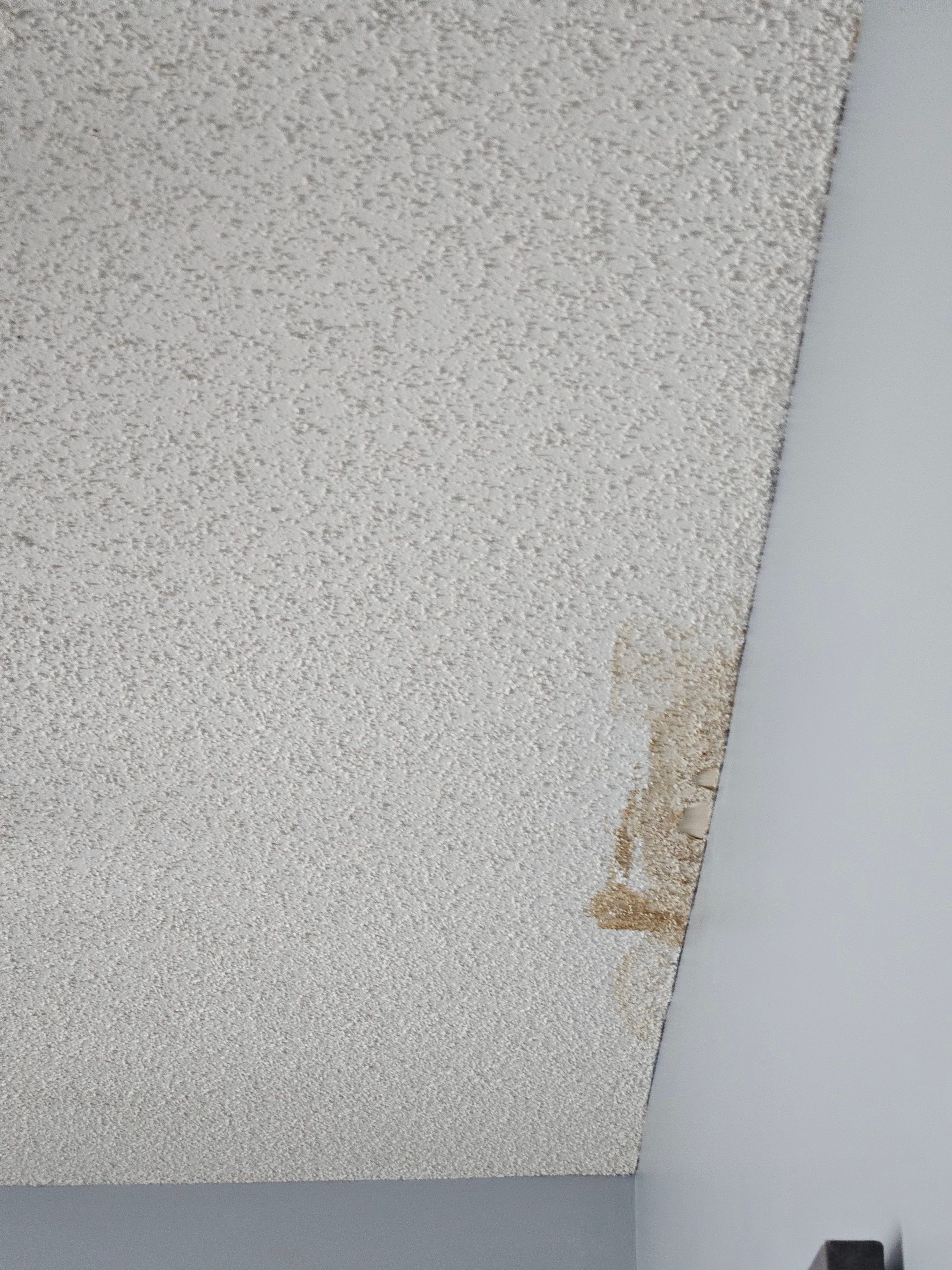 Roof replacement, siding, interior and gutter repair by hail damage by Just Brilliant Restoration JBR