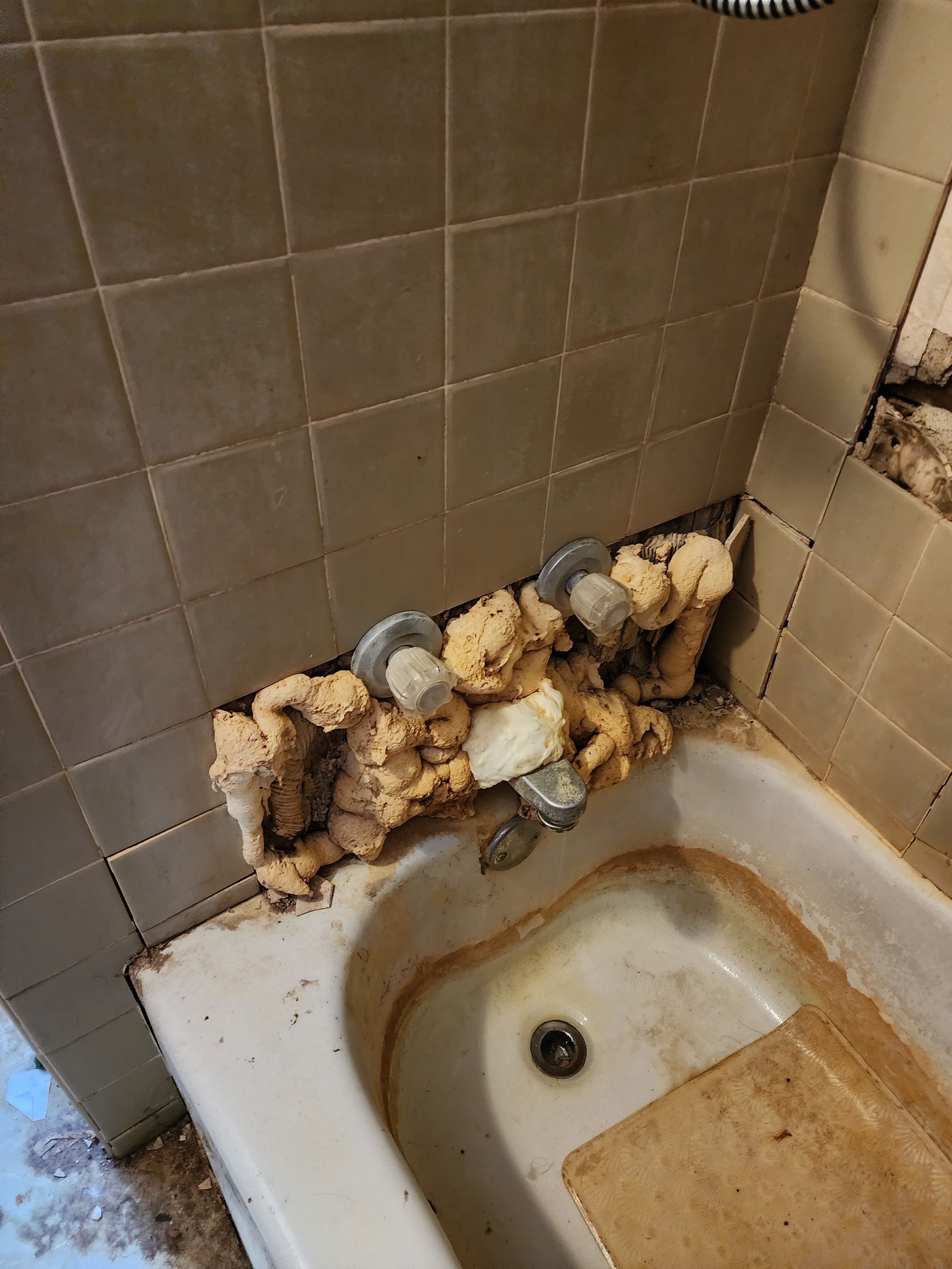 Bathroom Transformation by ProCore Contractors