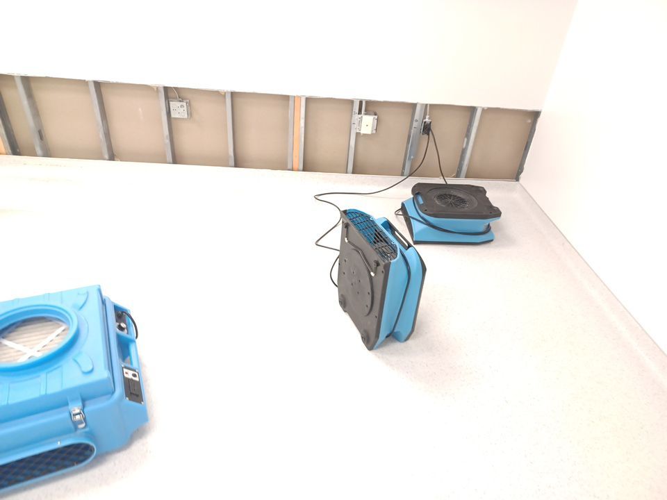 Project in Novi by EzDry Water Mitigation & Property Restoration