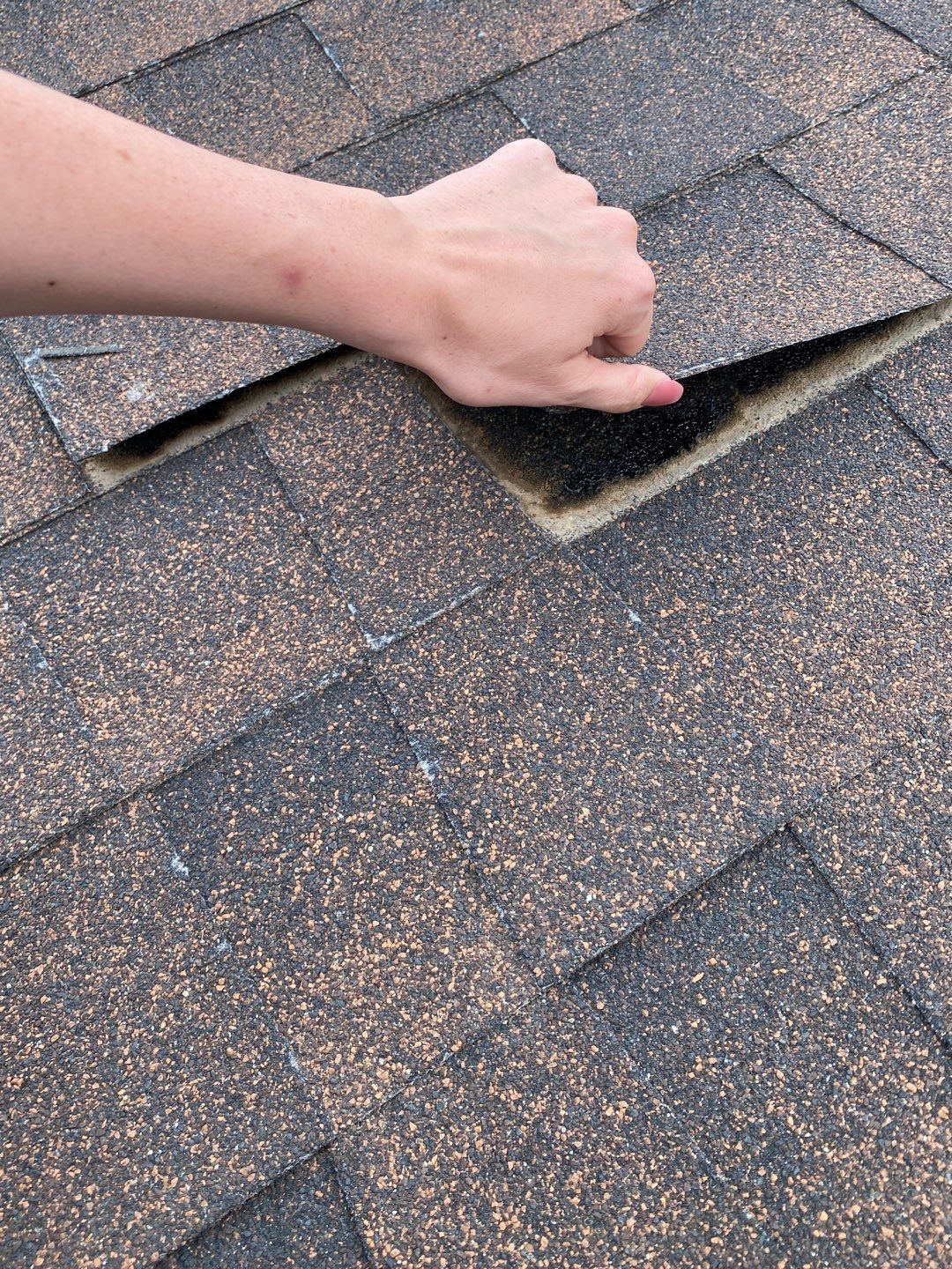 Mayra's  Full Re-roof by All Storm Roofing & Construction