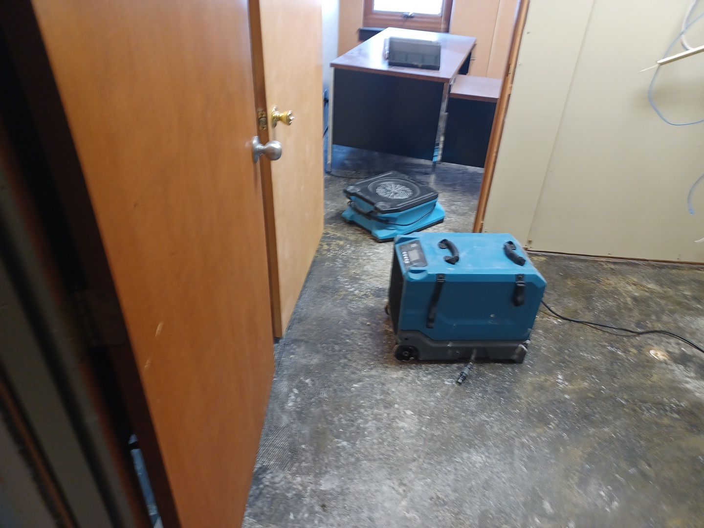 Project in Royal Oak by EzDry Water Mitigation & Property Restoration