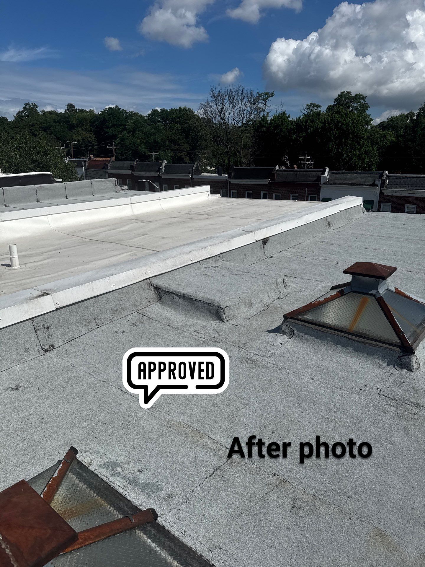 New Flat Roof by Alpha Design Services