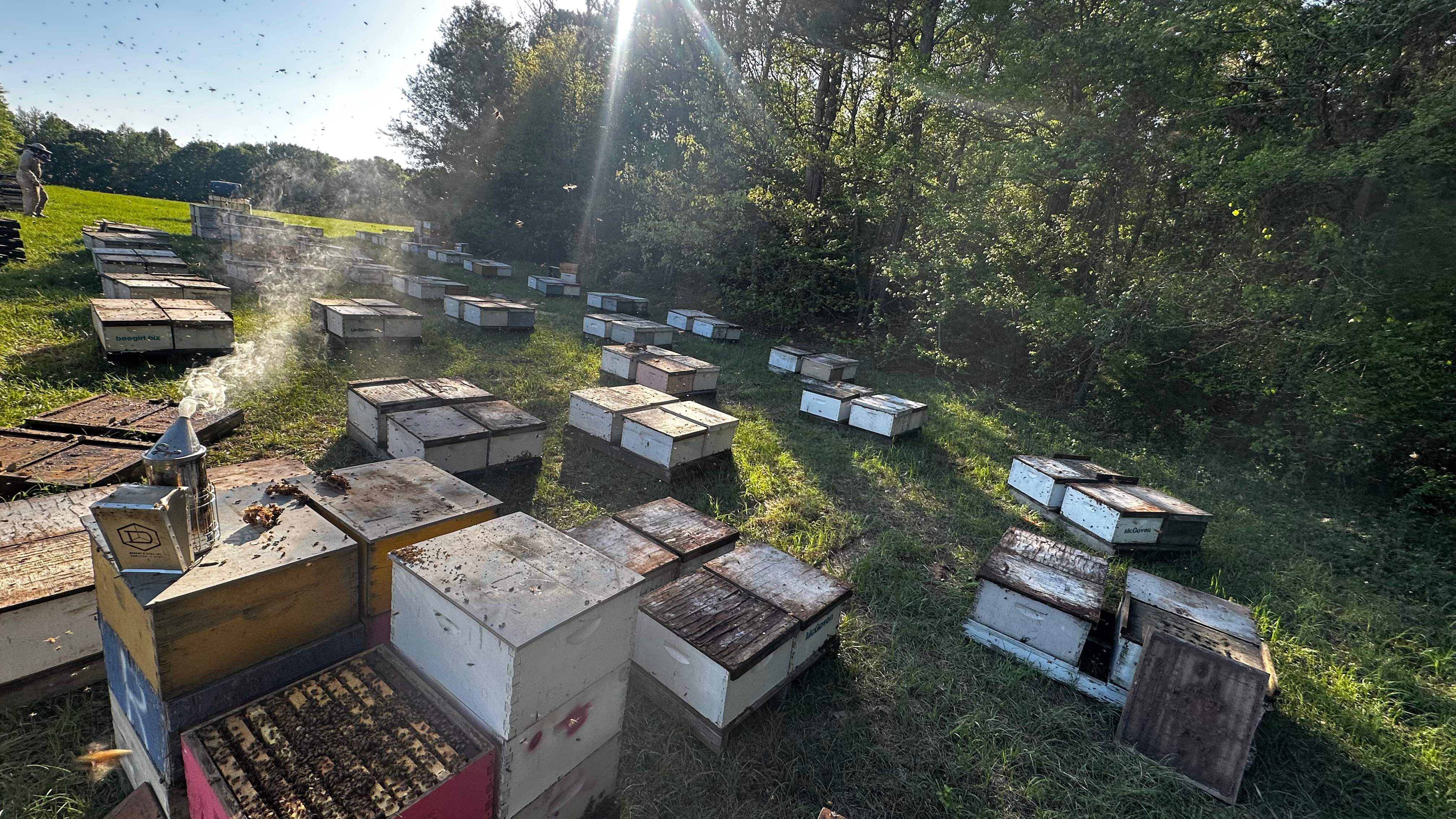 Traylor's Hay Meadow Apiary by Rockwall Honey Bee Company