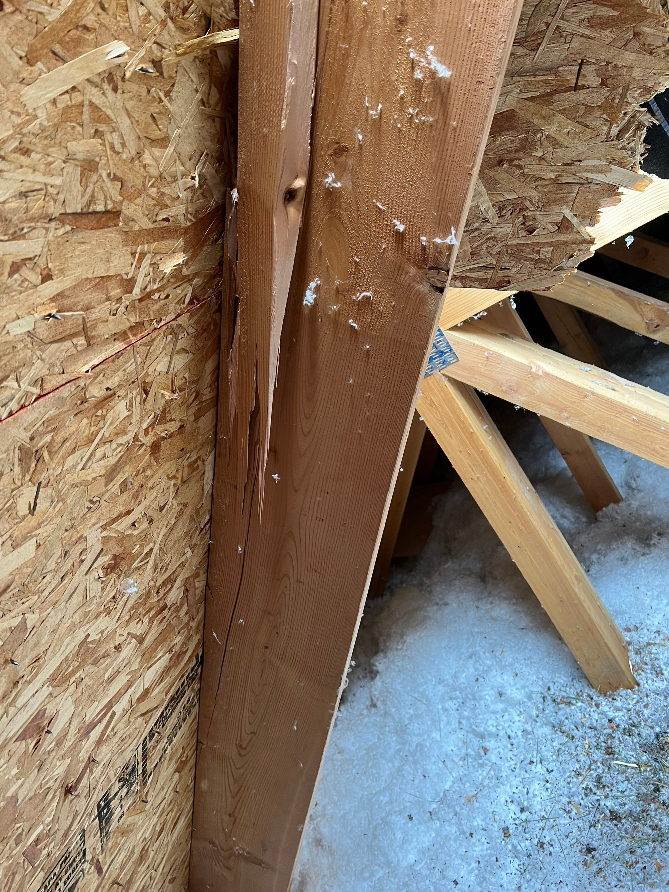 Green Snap Lock Standing Seam  by Montana Roofing Solutions