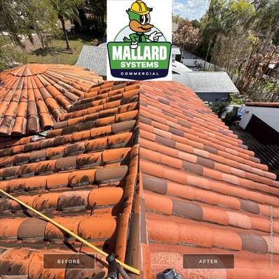 Tile Roof Cleaning