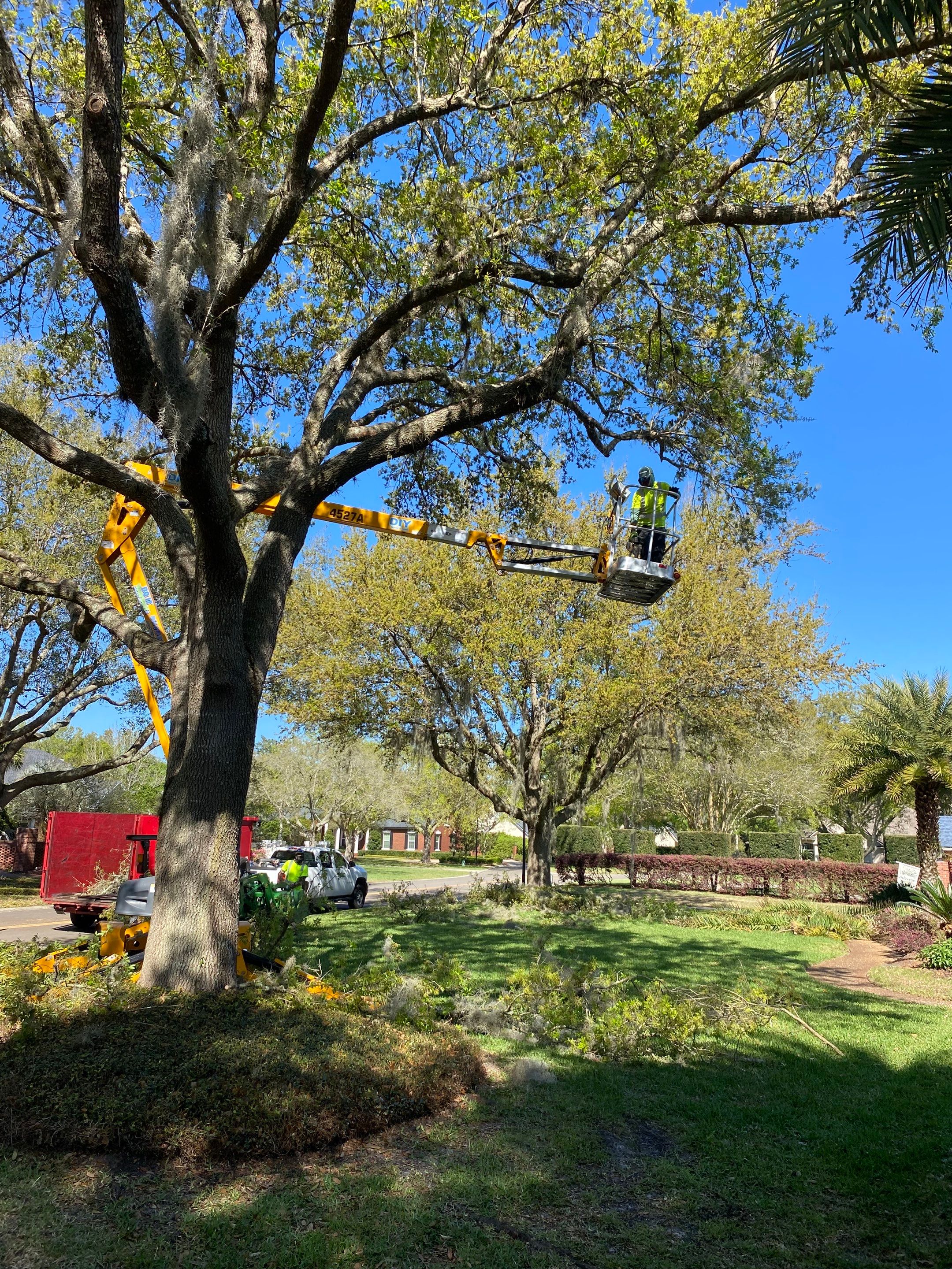 Deerwood Resident | Tree Service by ProGreen Services