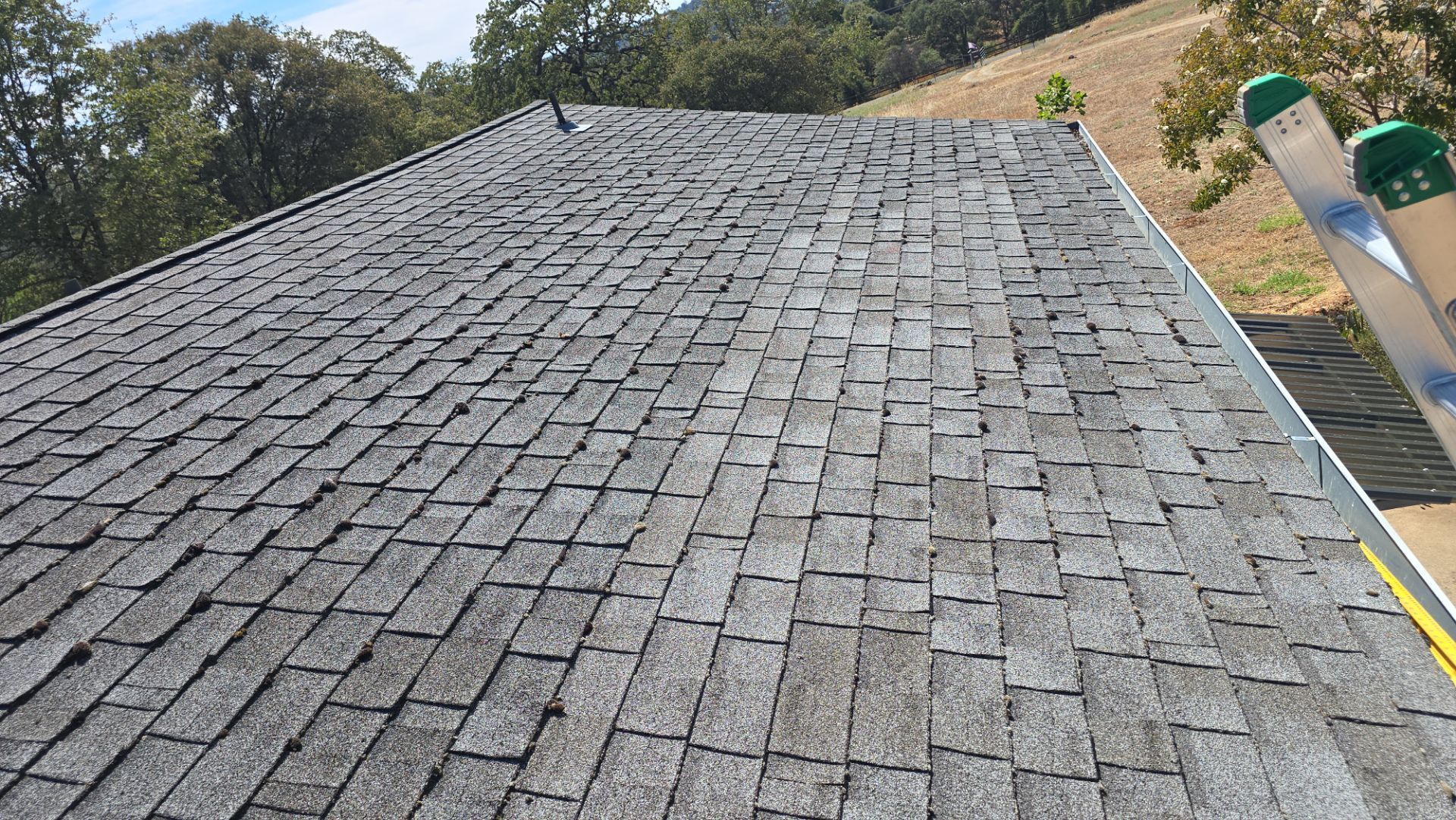 Roof Rejuvenation using Roof Maxx Treatment by Roof Maxx of Folsom