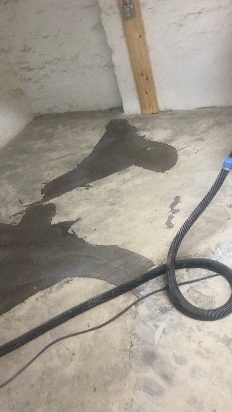 Cat Hospital Project in Pittsburgh by Floors in a Day, Inc