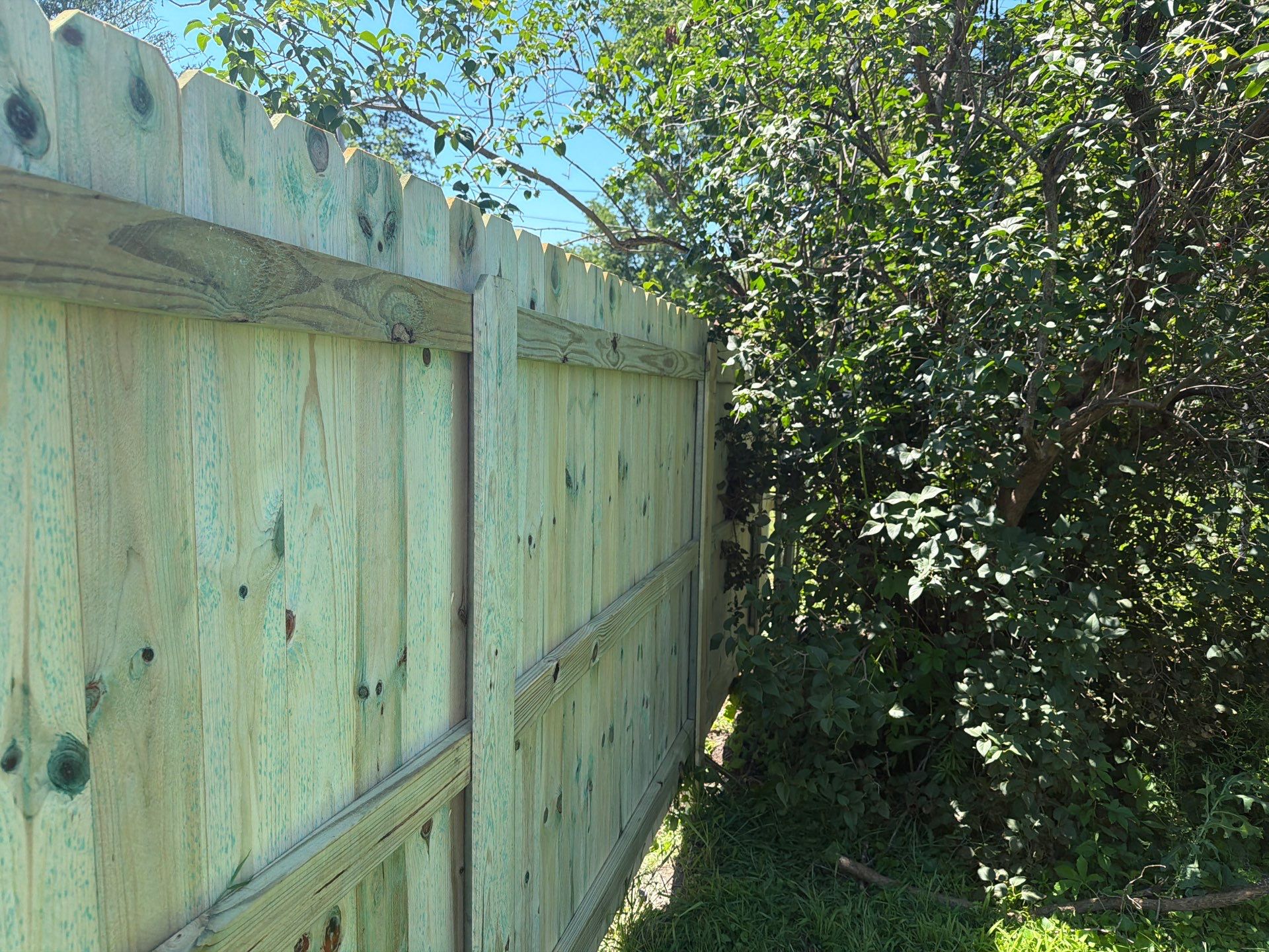 Pressure-Treated Wood Privacy Fence Installation in Waterloo by Perfect Picket Fence and Stain