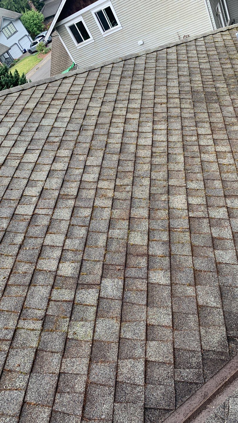 Softwashed in many Years back, and organic regrowth significant by DawnSky LLC