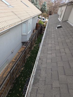   Gutter and Downspout Cleaning