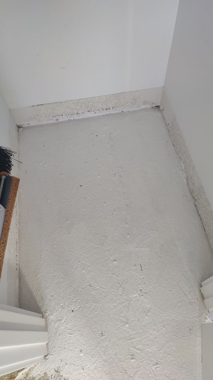 Mold Remediation  by Accountable Home Services