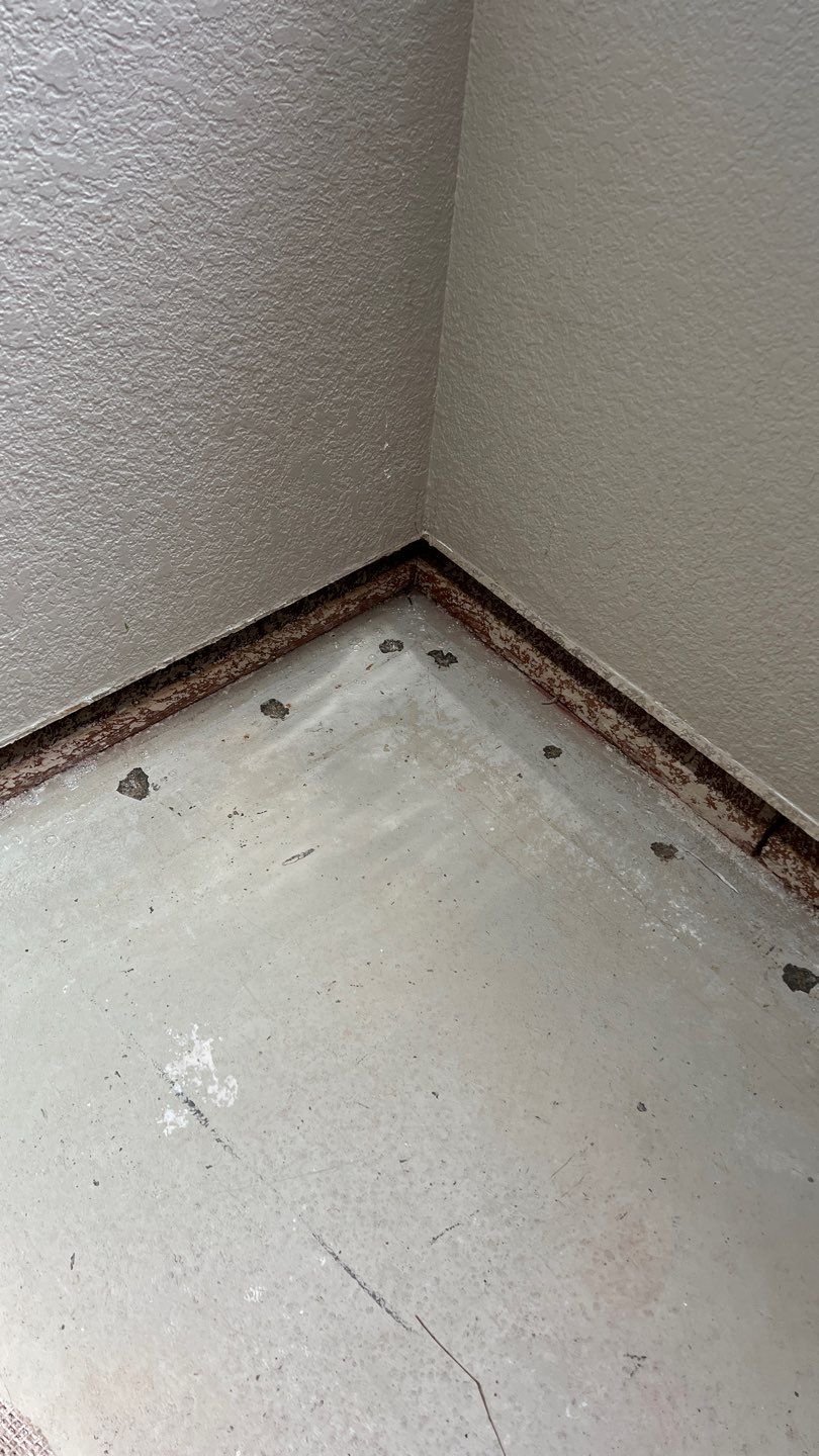 Mold Remediation  by Accountable Home Services