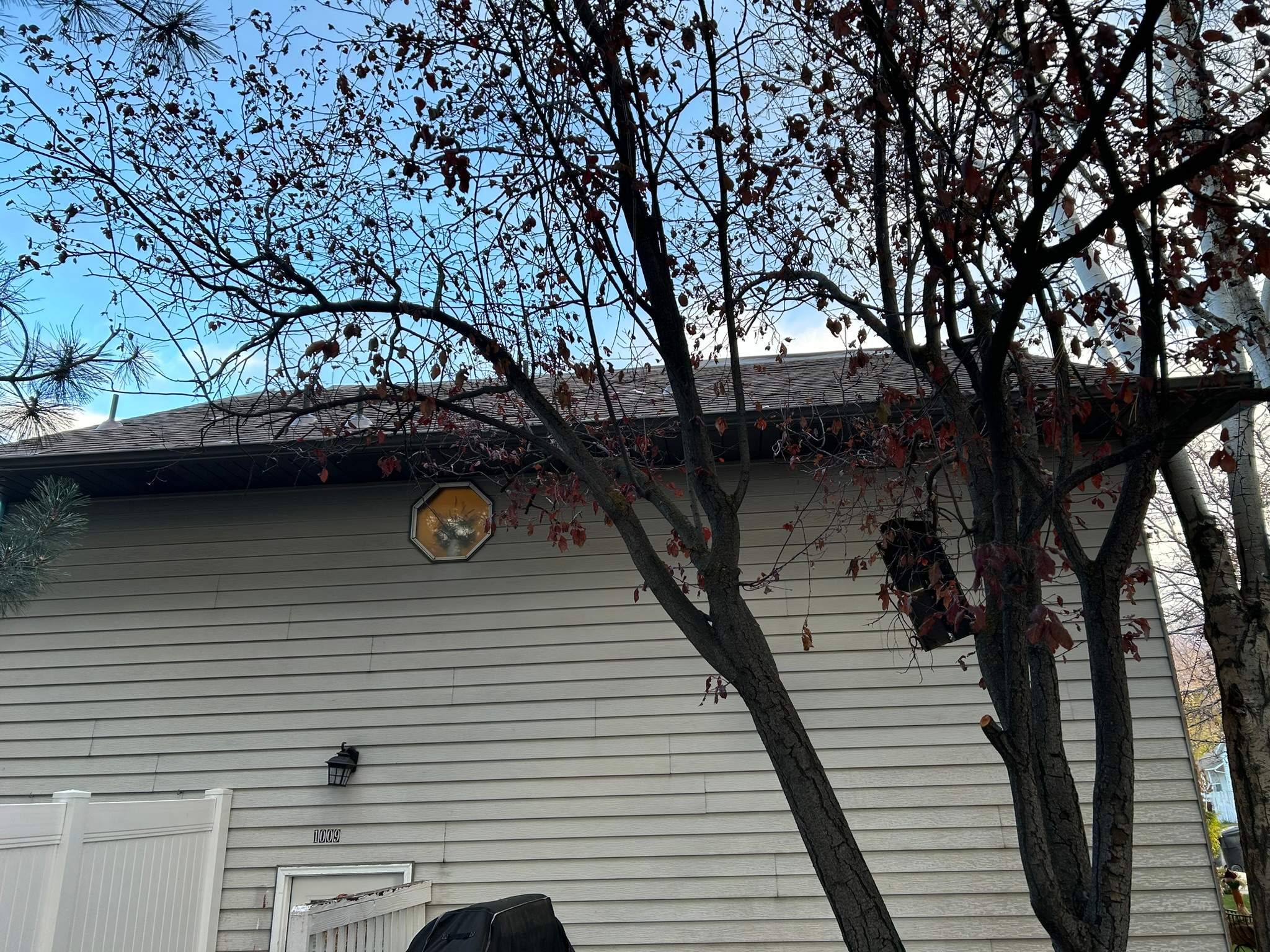 Roof Replacement After Hail Damage – Insurance Approved by ASAP Roofing & Exteriors