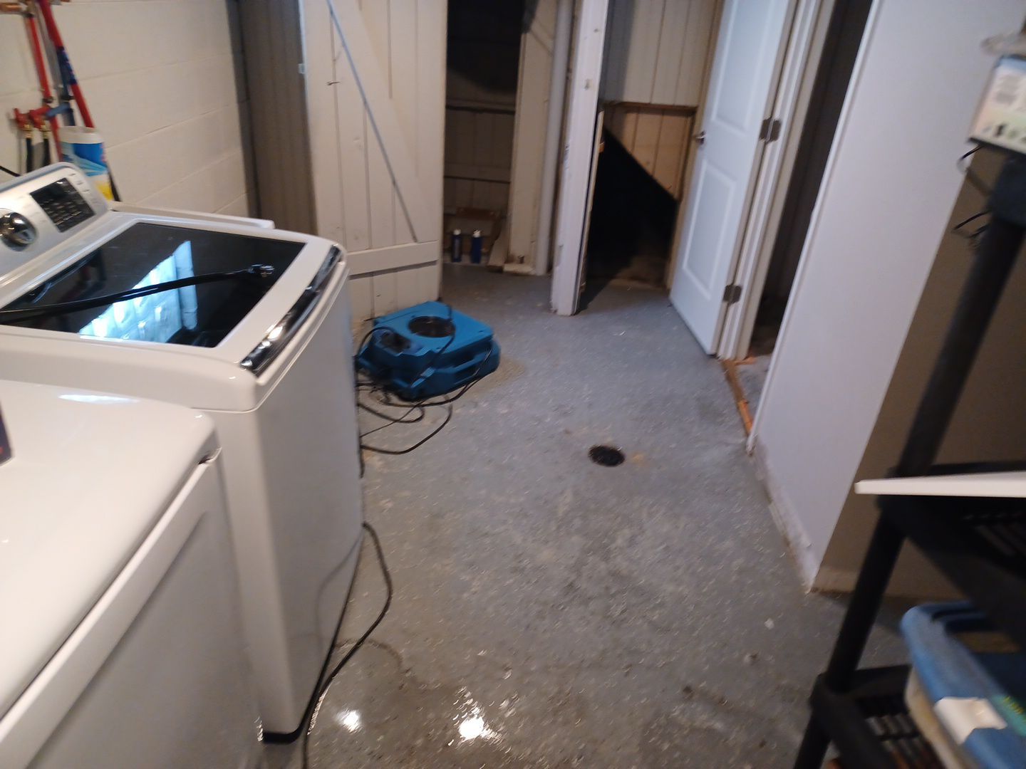 Project in Royal Oak by EzDry Water Mitigation & Property Restoration