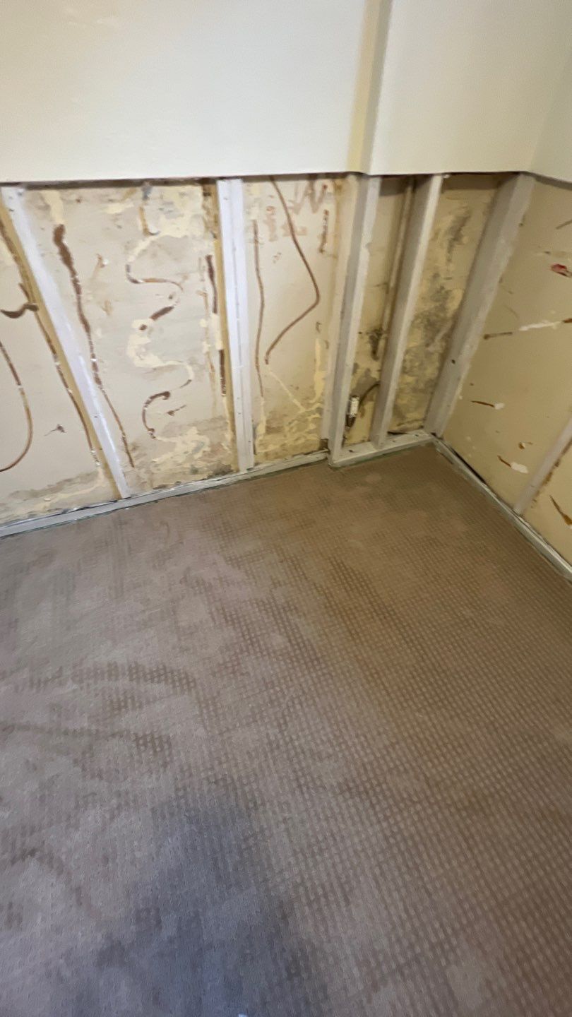 Mold Remediation by Accountable Home Services