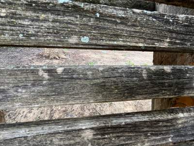 Project in Little Elm