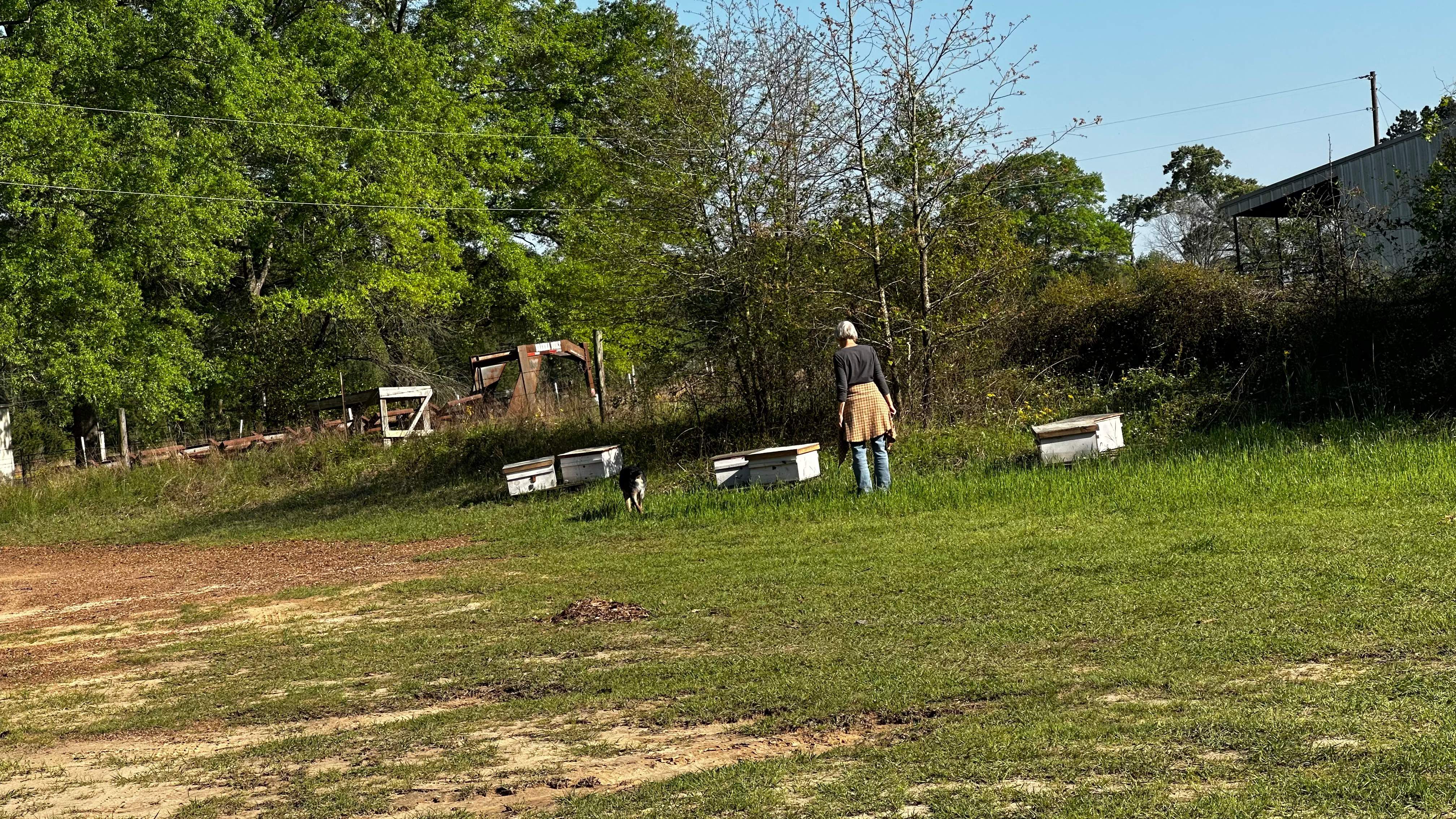 BeeGirl ETX HQ by Rockwall Honey Bee Company