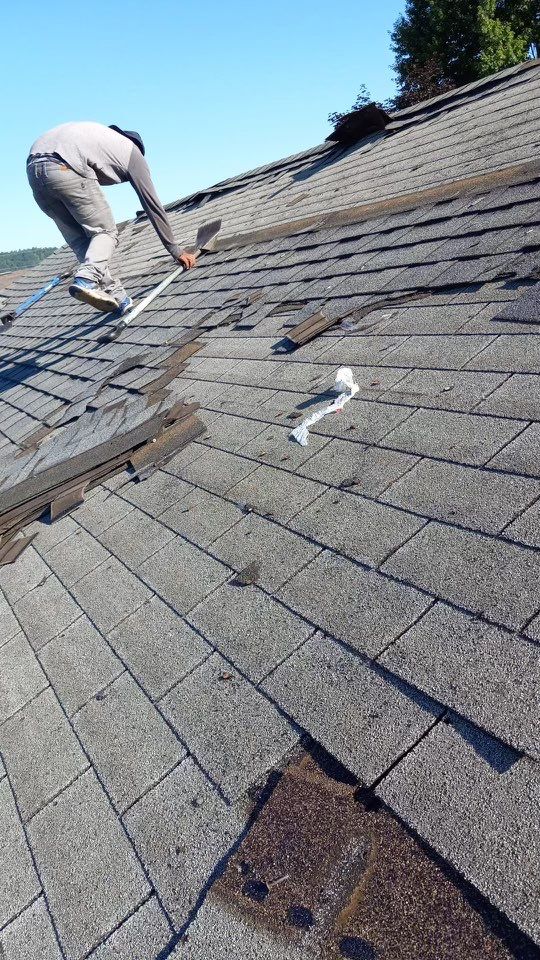 Residential Roofing Installation using Certainteed Landmark Shingles Colonial Slate Color by Secure Construction Company Inc