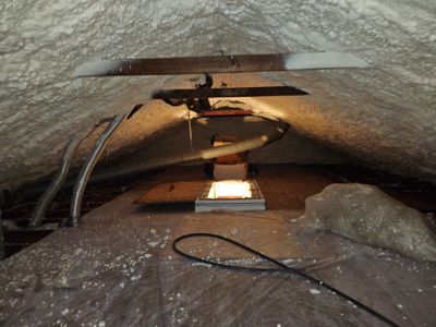 Project in Alexandria, VA