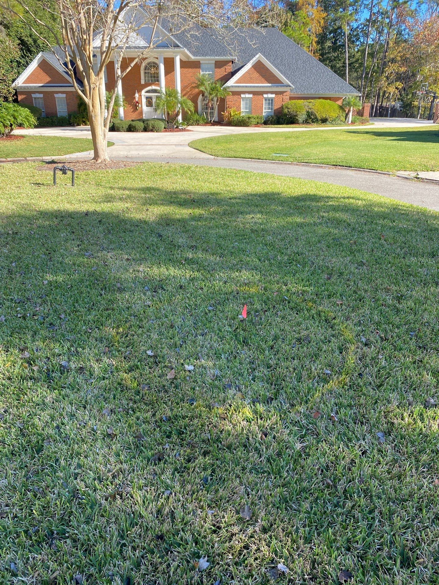 Deerwood Community | Oak Tree Replacement Project by ProGreen Services