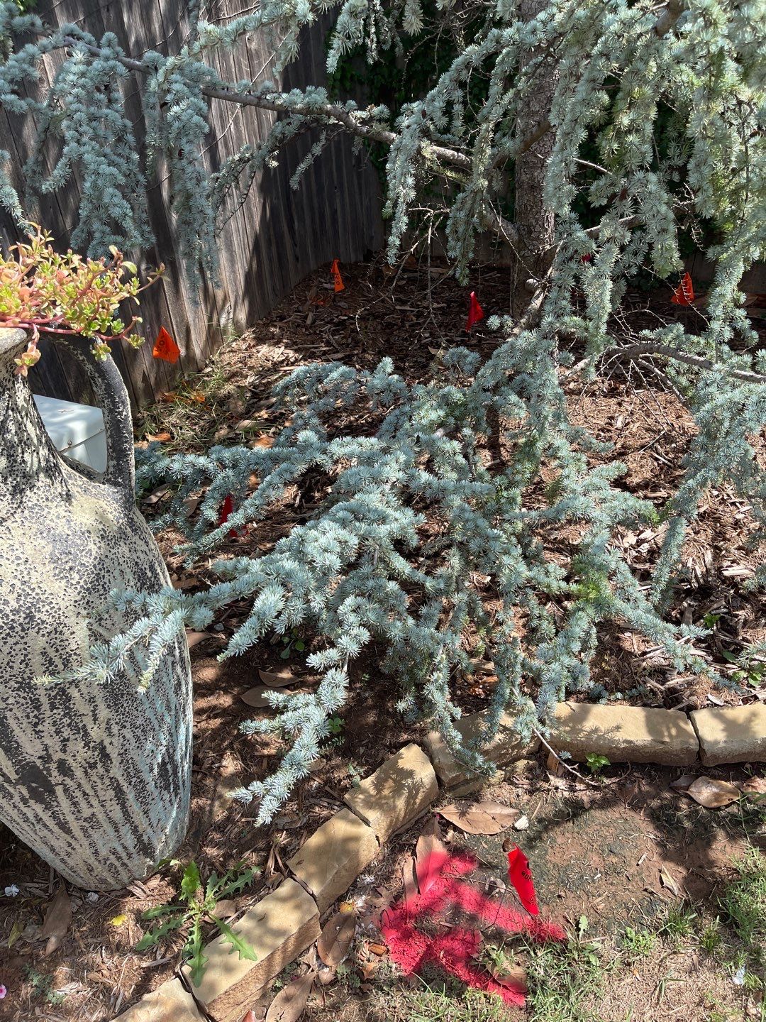 Project in Oklahoma City by PRO-ROOTER