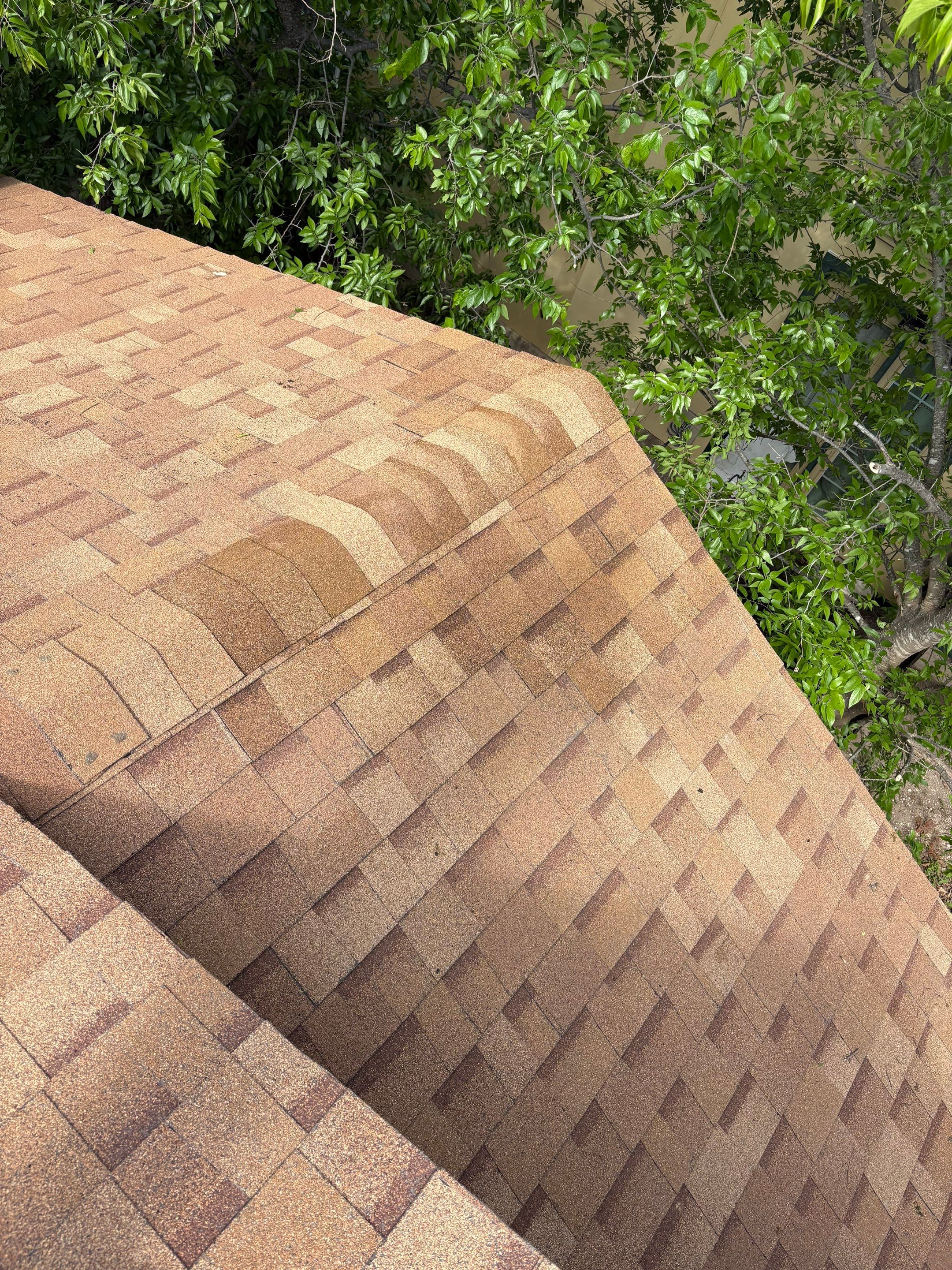 Roof Leak Repair & Tree Trimming in Pflugerville, TX by Kstylez Roofing & Construction