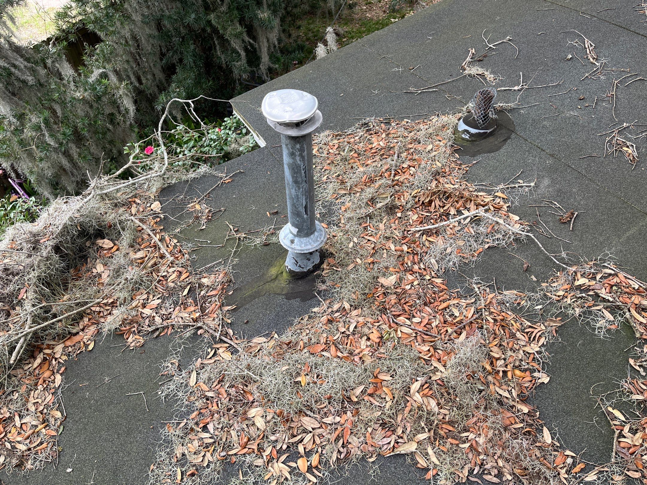 Shingle -> Shingle by Prime Roofing