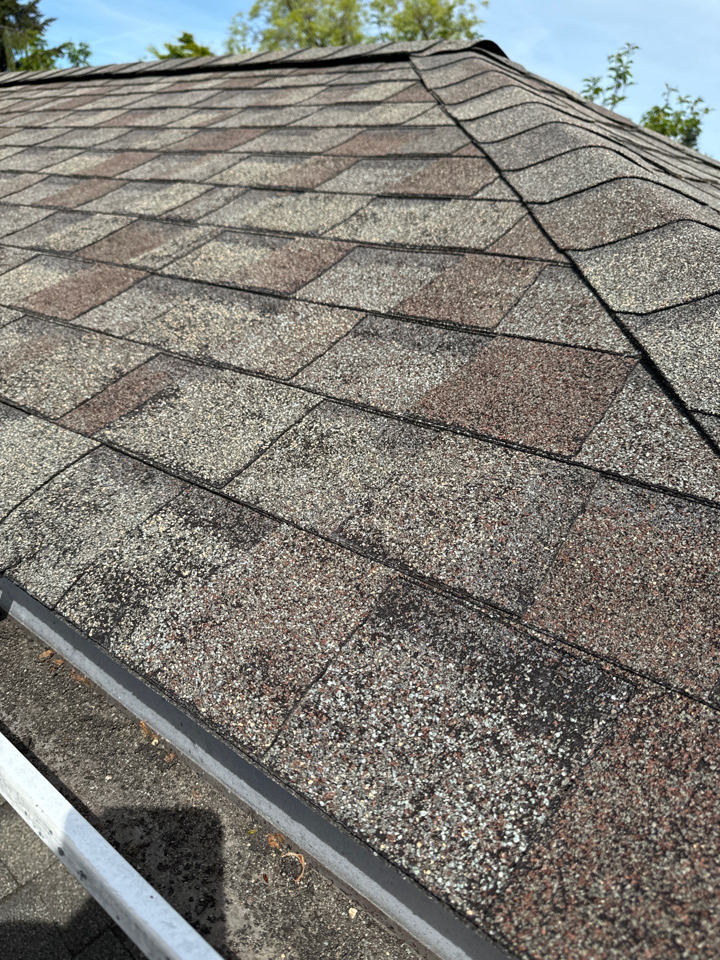 Project in Seattle by Connolly Construction Company