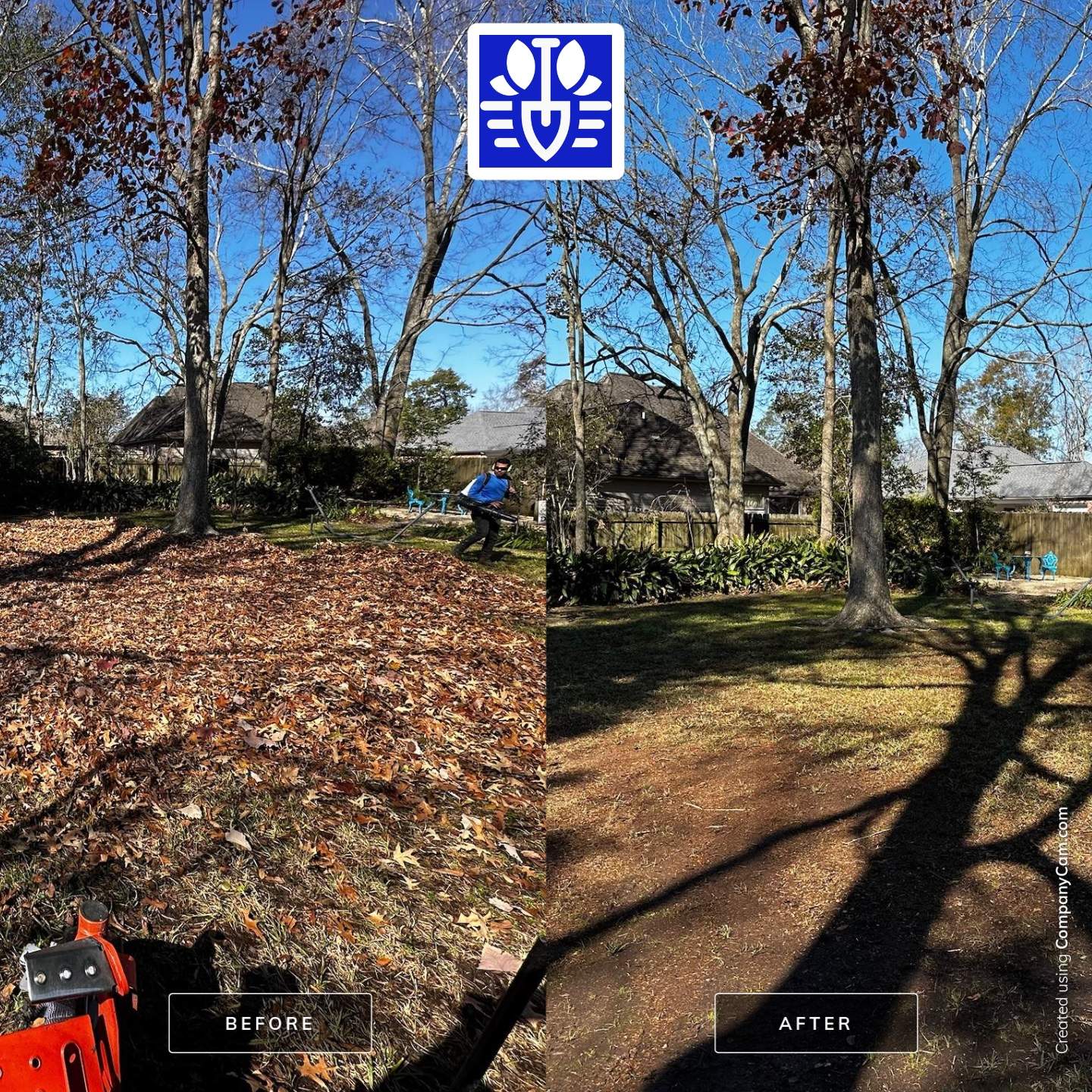 WINTER SERVICES: FULL LEAF JOB by CutScape, LLC.